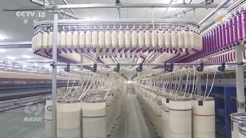 焦点访谈 稳订单、拓市场、增信心——日用百货贸易的破局之道